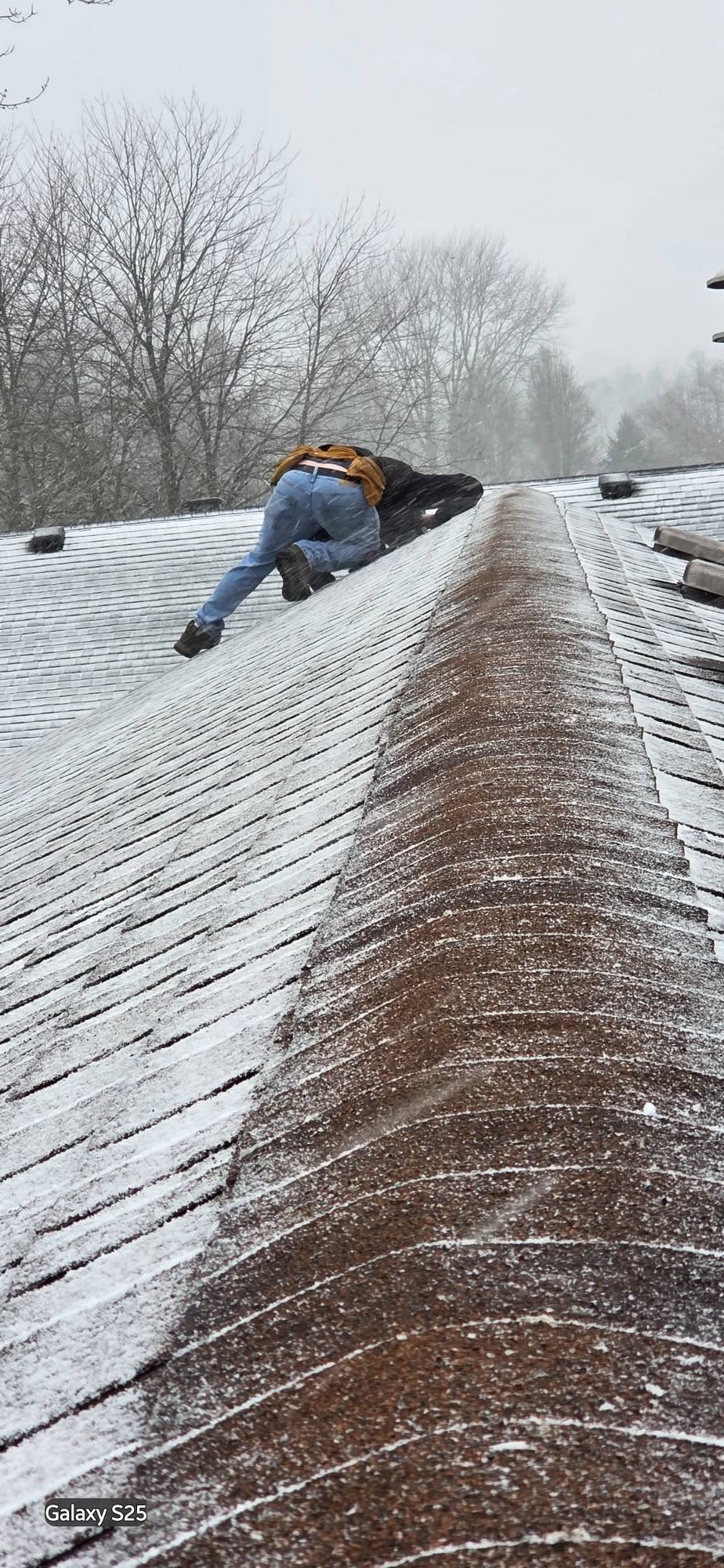 Roofing & Exterior Repairs